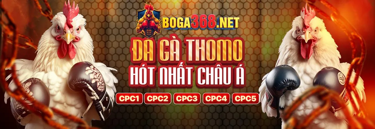 Sân vận động với không khí cá cược thể thao sôi động tại W388 khuyến mãi